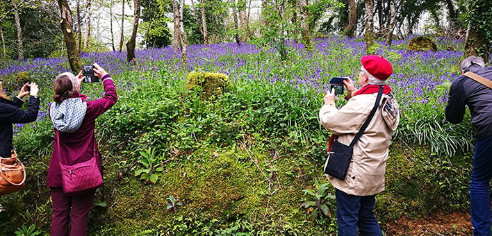 Frühlingsreise Cornwall