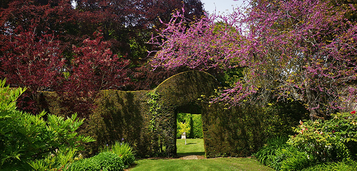 Gartenjuwel in Dorset
