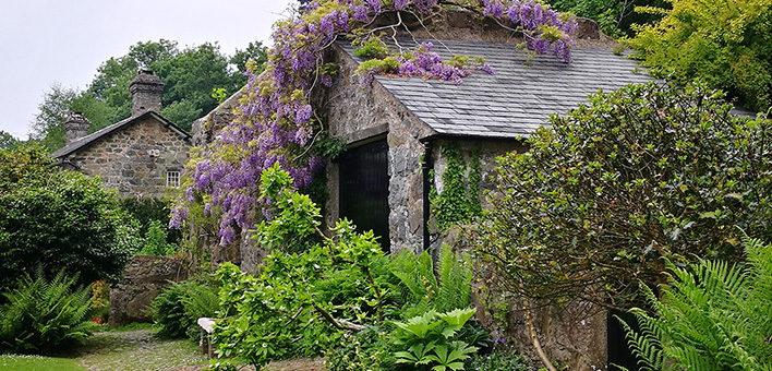 Gartenpracht in Nordwales